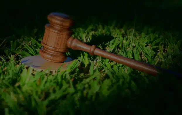 El Código Orgánico del Ambiente