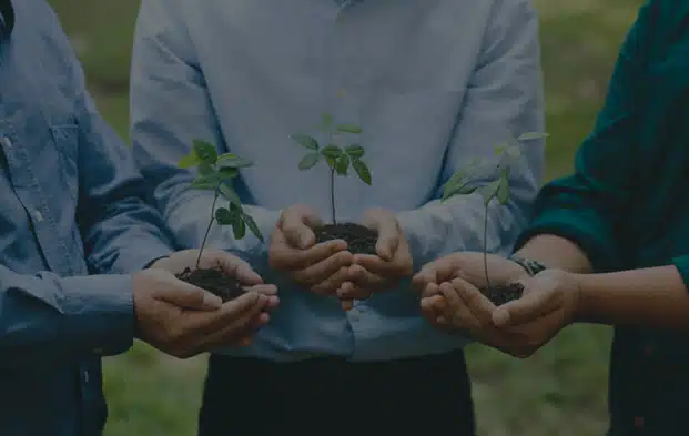 ¿Qué Hace un Gestor Ambiental y Por Qué Tu Empresa Lo Necesita?