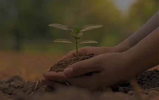 Remediación Ambiental: Una Guía Práctica para Recuperar el Planeta
