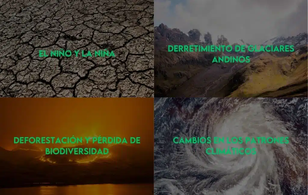 Collage Efectos del Cambio Climatico
