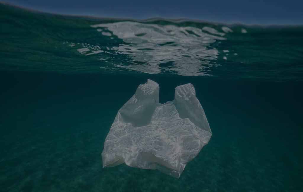 BANNERS SHIR CORREGIDOS MEDIDA 4 1